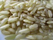 rice-2351272__340.jpg